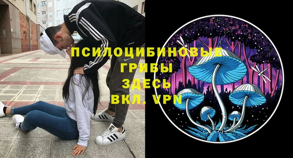 мдпв Дмитров