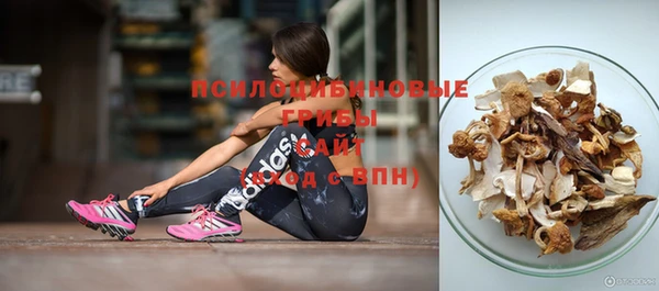 мдпв Дмитров