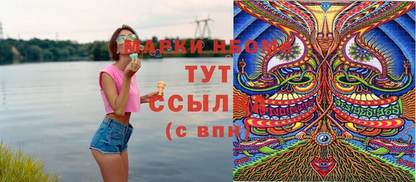 гашик Дмитриев