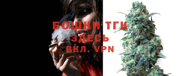 мдпв Дмитров