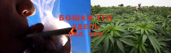 мдпв Дмитров