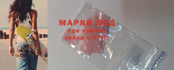 гашик Дмитриев