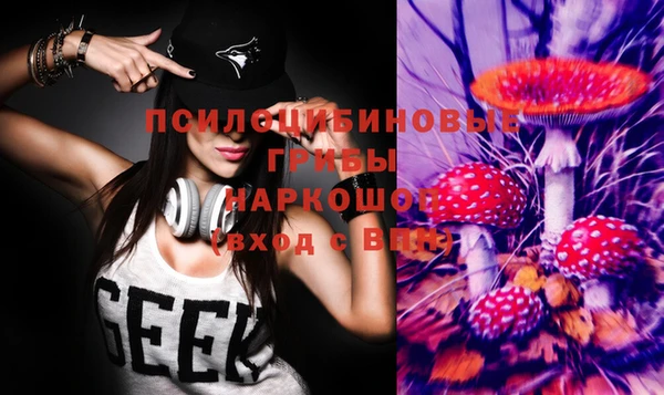 гашик Дмитриев