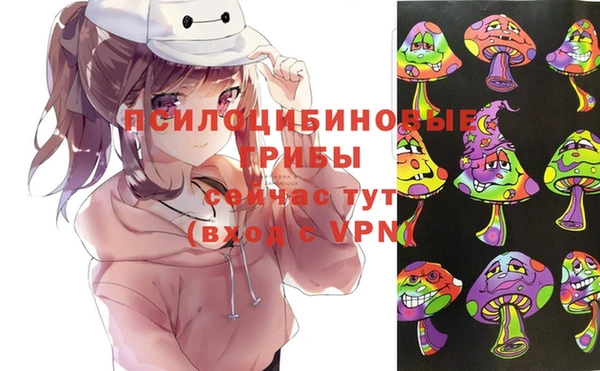 мдпв Дмитров