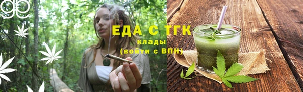 гашик Дмитриев