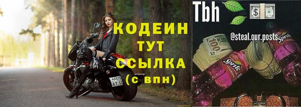 гашик Дмитриев