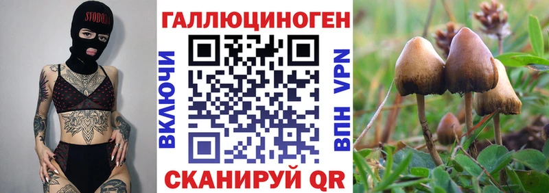Псилоцибиновые грибы Psilocybine cubensis  Купить где  Кировград 